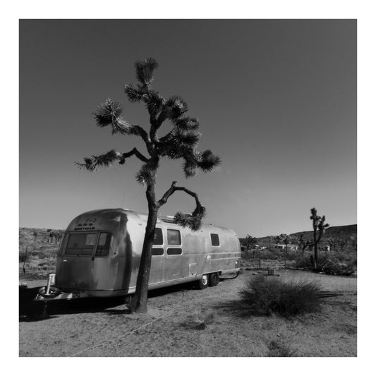 Joshua Tree Desert Air Stream - Square Print Series