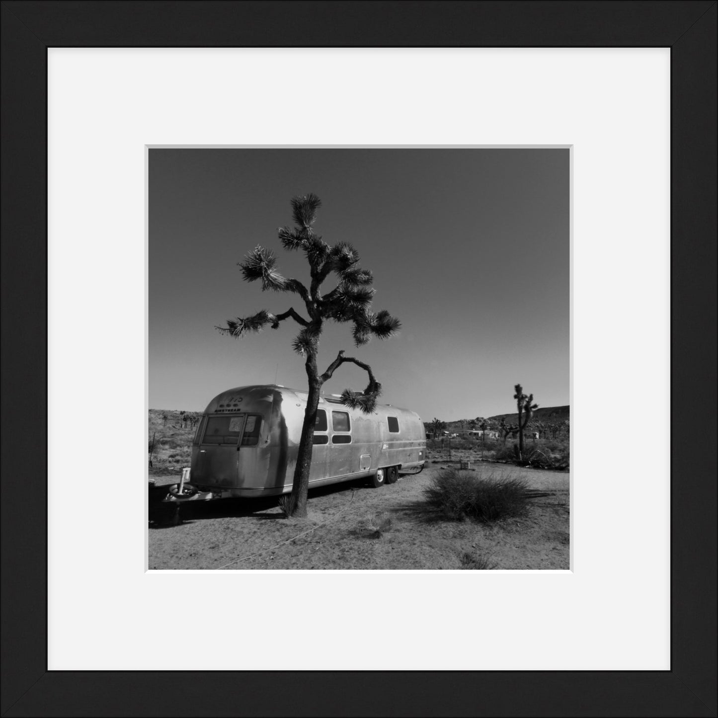 Joshua Tree Desert Air Stream - Square Print Series