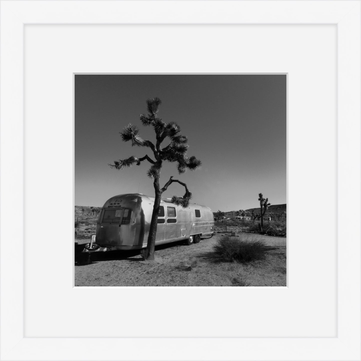 Joshua Tree Desert Air Stream - Square Print Series