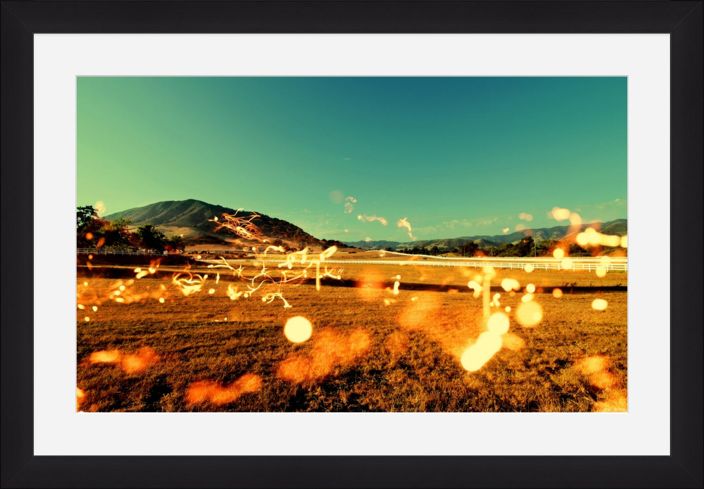 No. 13 - Light Theory VIII, 2012